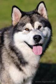 images-10