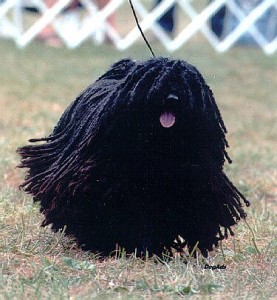 puli3